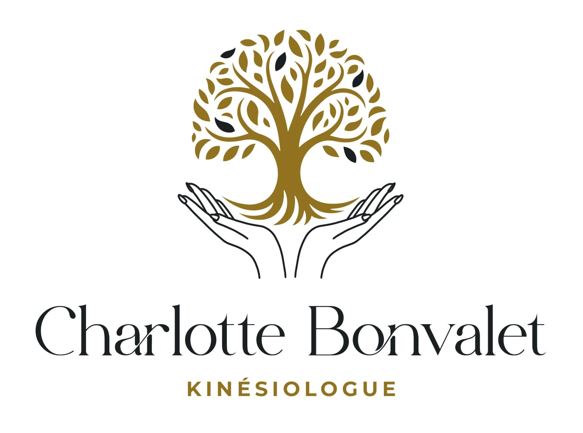 Logo charlotte